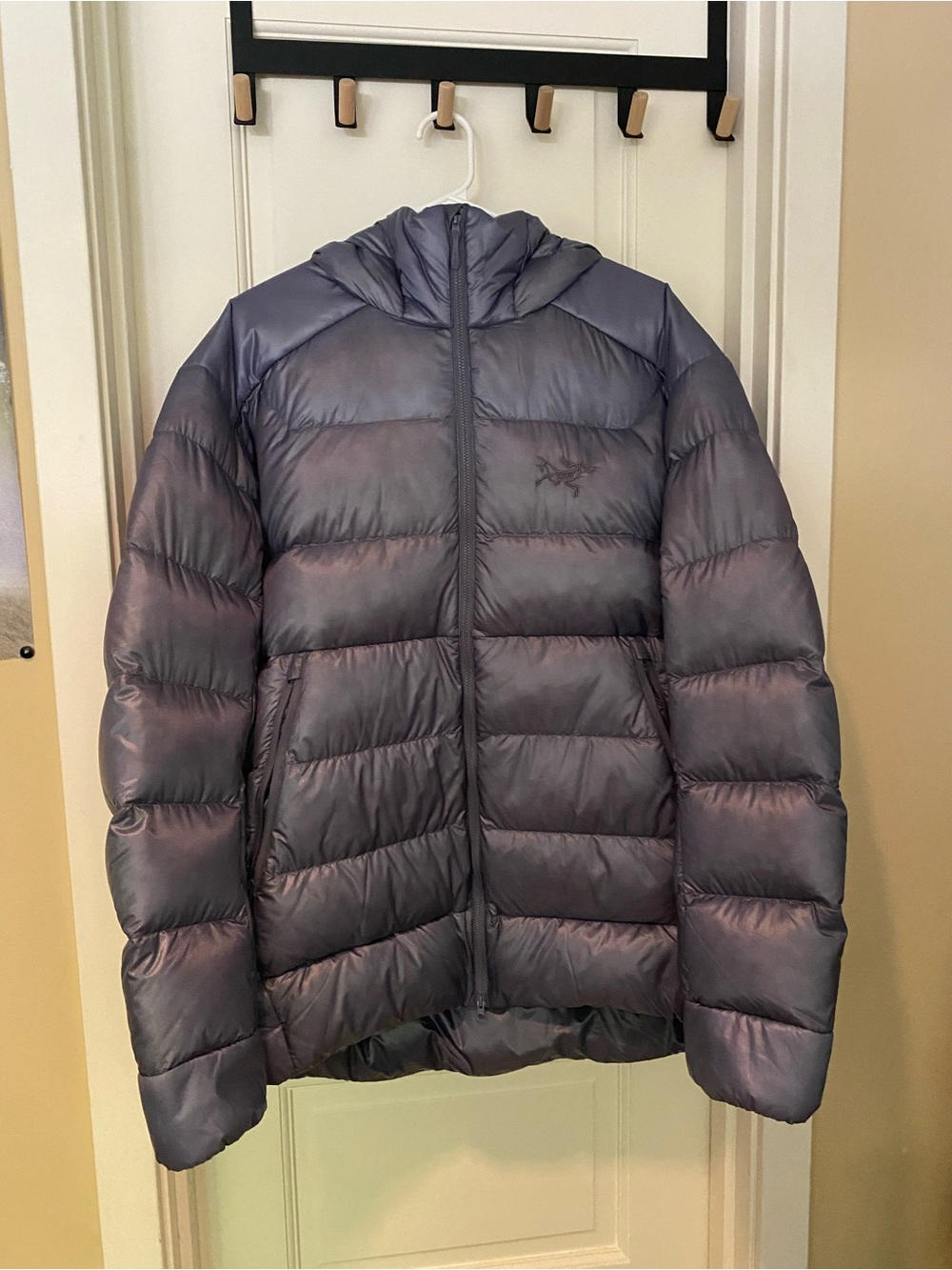 Arc'teryx Cerium SV Large